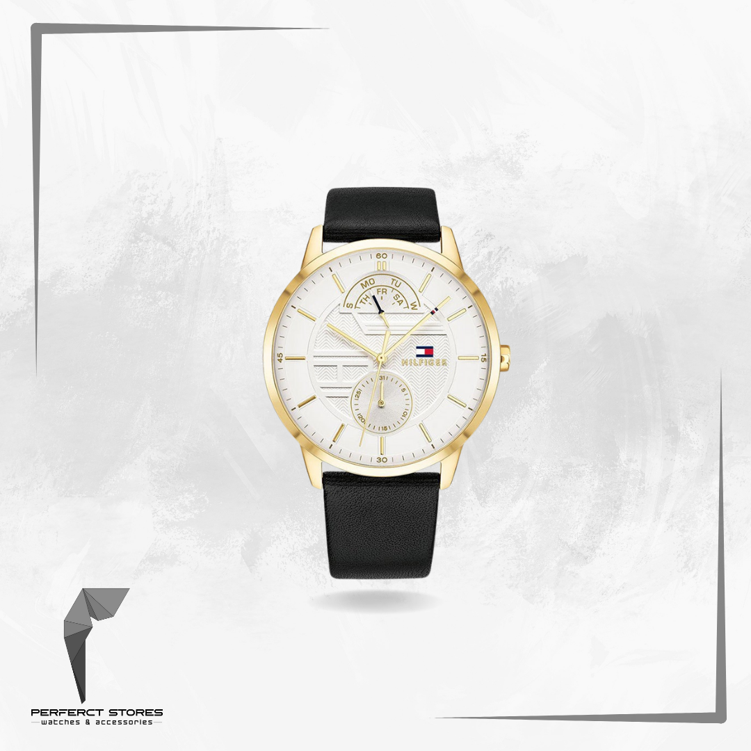Tommy Hilfiger Men's Watch Hunter 1791606 - original