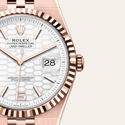 Rolex Land-Dweller 41 (Reference 127235-0001)